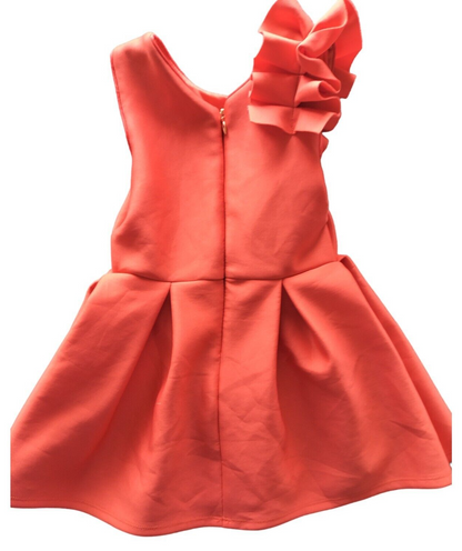 Ted Baker Girls Red Ruffle Neck Sleeveless Back Zip Bouffant Dress 18-24 Months